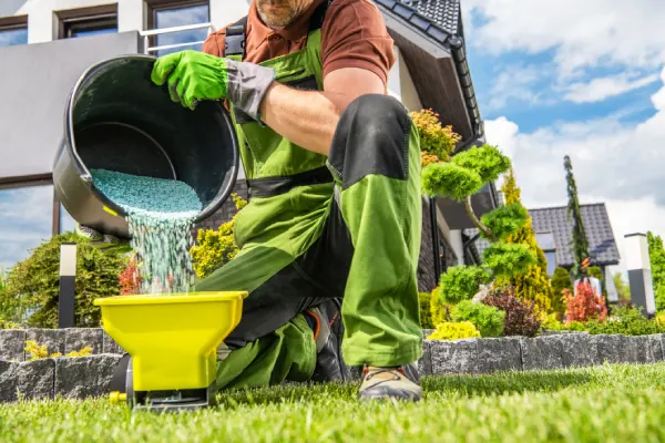 Lawn Fertilization in Goodyear, AZ