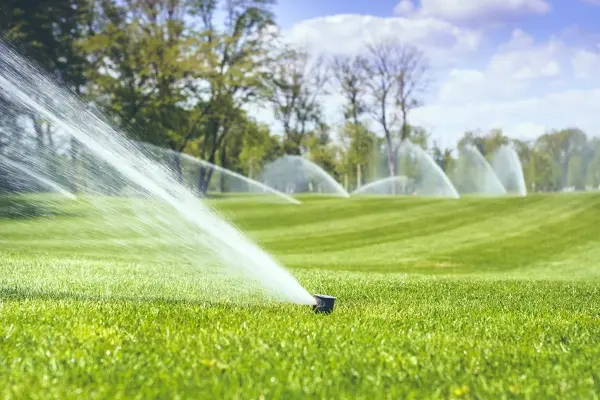 Lawn Irrigation Installation