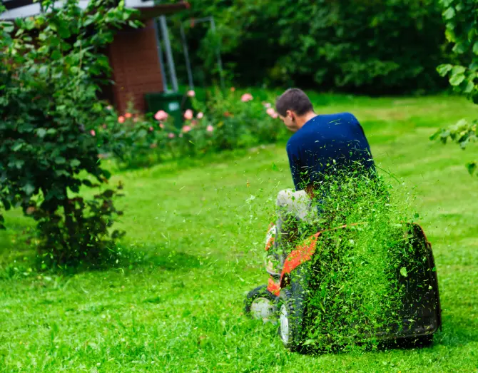 Lawn Mowing in Goodyear, AZ