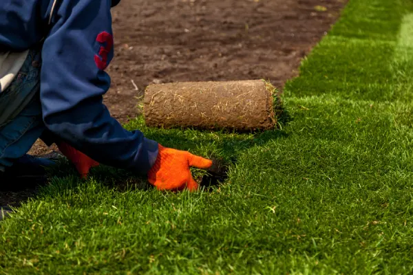 Quality Sod Installation in Goodyear, AZ