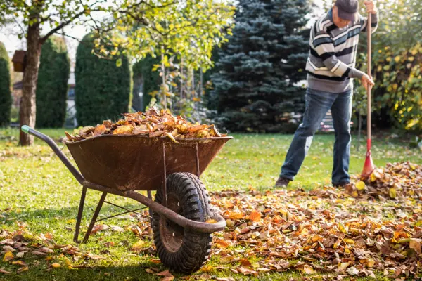 Quality Yard Cleanup in Goodyear, AZ