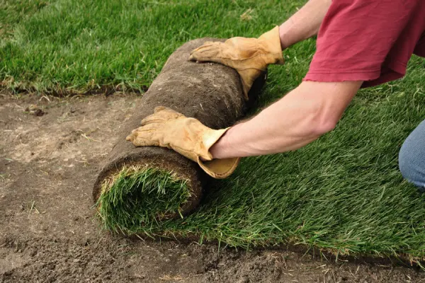 Sod Installation in Goodyear, AZ