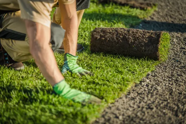 Sod Installation in Goodyear, AZ